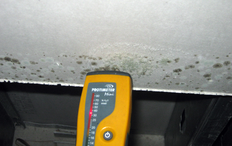 Image of moisture testing