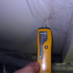 Image of moisture testing