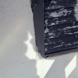Image of window shutter
