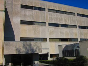 Bassett Healthcare Network