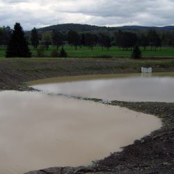 Image of stormwater ponds