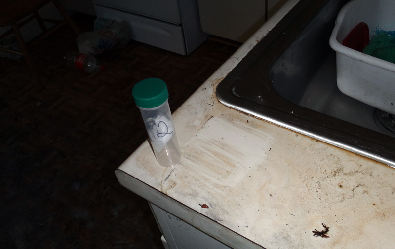 Image of methamphetamine baseline sampling