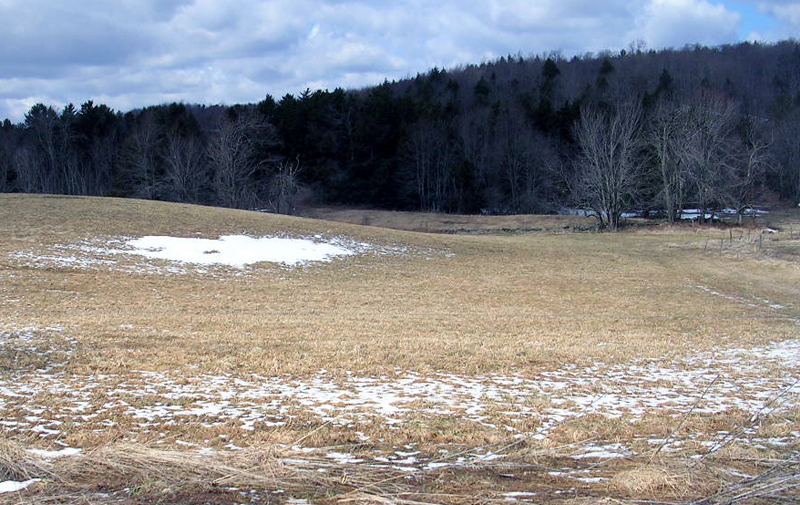 Image of Long Meadow subdivision property
