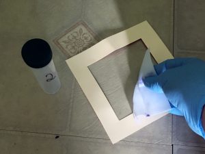 Two Family Residence