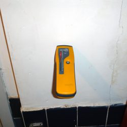 Image of mold testing