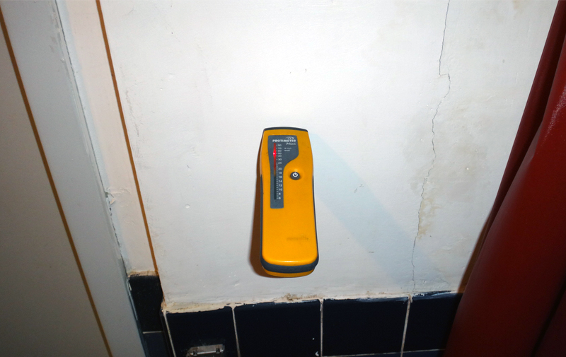 Image of mold testing