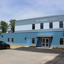 Outside view of humane society with building sign visible from parking lot.