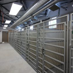 Empty kennels inside animal shelter, ready for incoming pets.