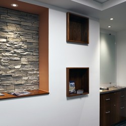 Interior image of office featuring stone wall.
