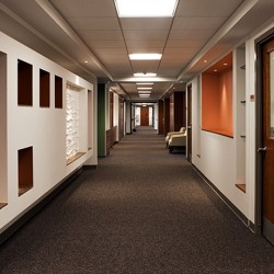 Image of colorful office corridor.