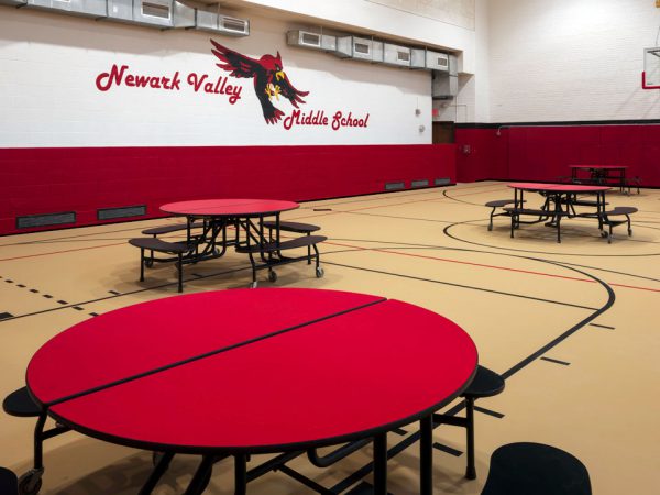 Newark Valley Central School District