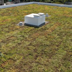 Rooftop view of the City of Binghamton