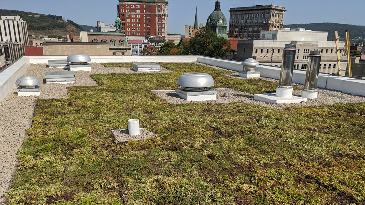 Rooftop view of the City of Binghamton