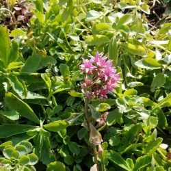 Close up view of the City of Binghamton