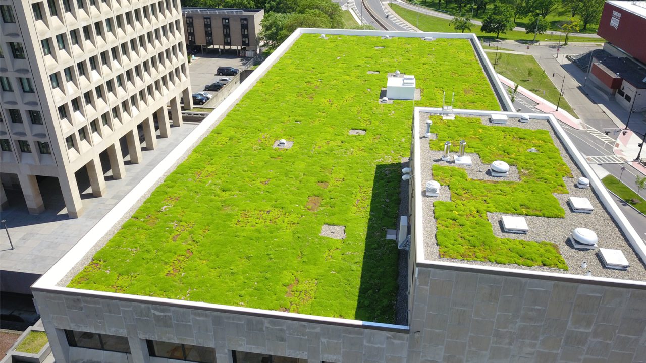 Aerial view of the City of Binghamton green roof, showcasing its sustainable design and environmental benefits.