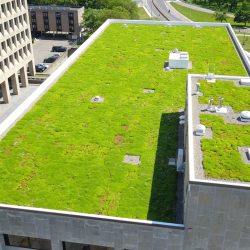 Aerial view of the City of Binghamton green roof, showcasing its sustainable design and environmental benefits.