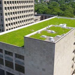 Aerial view of the City of Binghamton green roof, showcasing its sustainable design and environmental benefits.